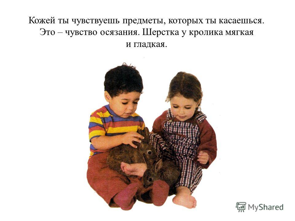 Уши слышать зубы есть 5