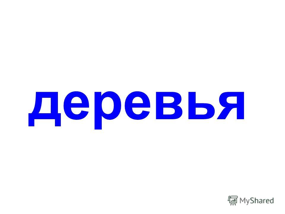 Картинки деревьев осенью береза тополь клен Картинки деревьев осенью береза тополь клен