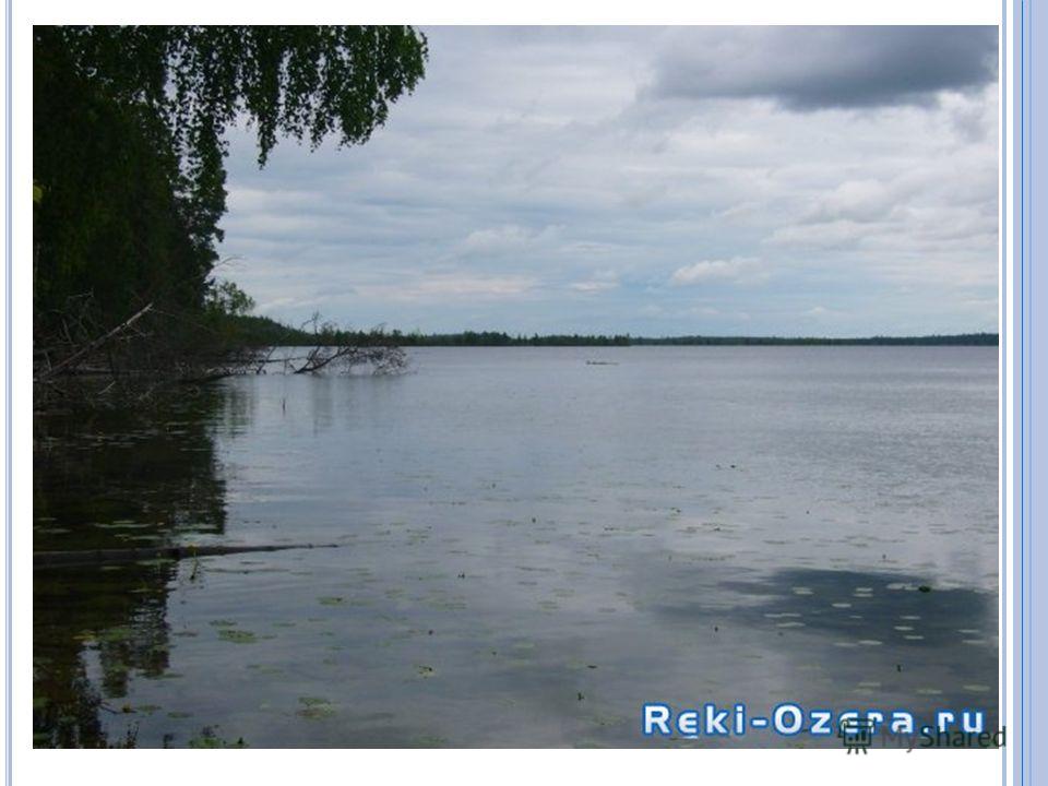 рыбалка на озере редикор в пермском крае рыбалка на озере редикор в пермском крае