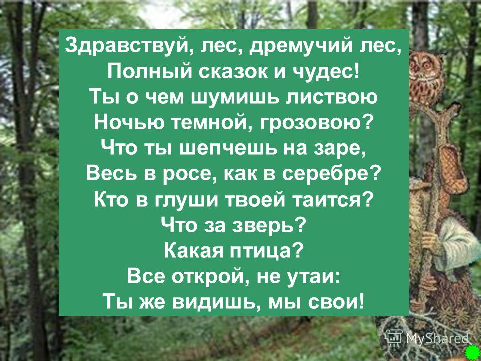 Сценарий лес чудес Сценарий лес чудес