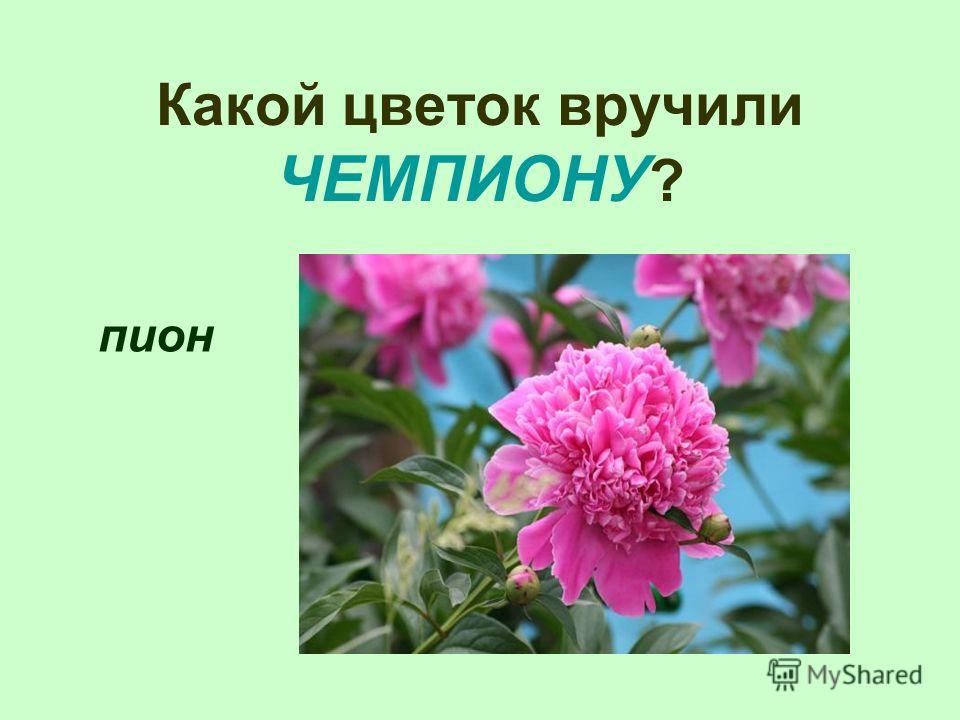 5 упражнений на развитие слуховой памяти у ребенка картинки 5 упражнений на развитие слуховой памяти у ребенка картинки