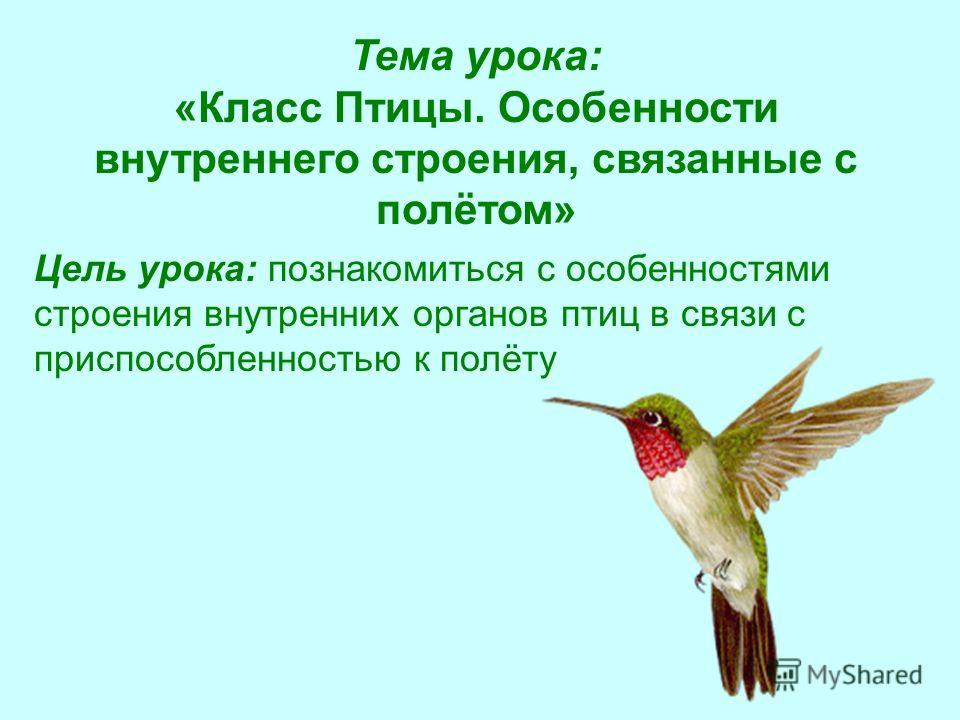 Как вышивать икону Спиридон Тримифунтский Наборы для вышивания крестом "DIMENSIONS " Белоснежка. Товары и услуги