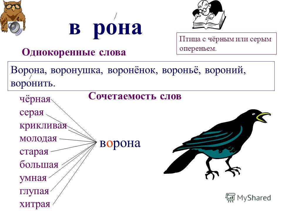 Найти связанные слова к ворону Найти связанные слова к ворону