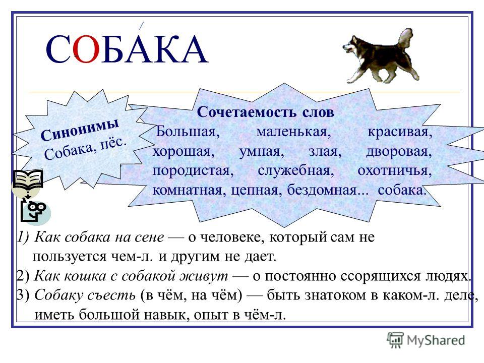 Истургенев собака пословицы Истургенев собака пословицы