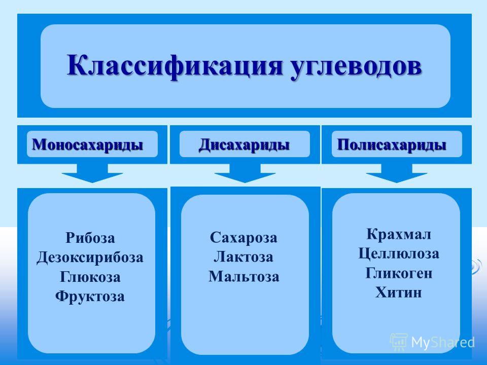 На какие группы делят углеводы?