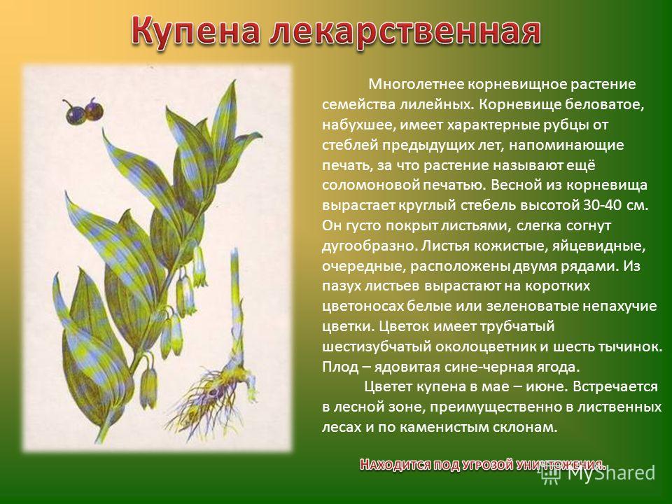 Коксартроз (артроз тазобедренного сустава). Причины, симптомы Киста яичника, лечение кисты хирургическое и