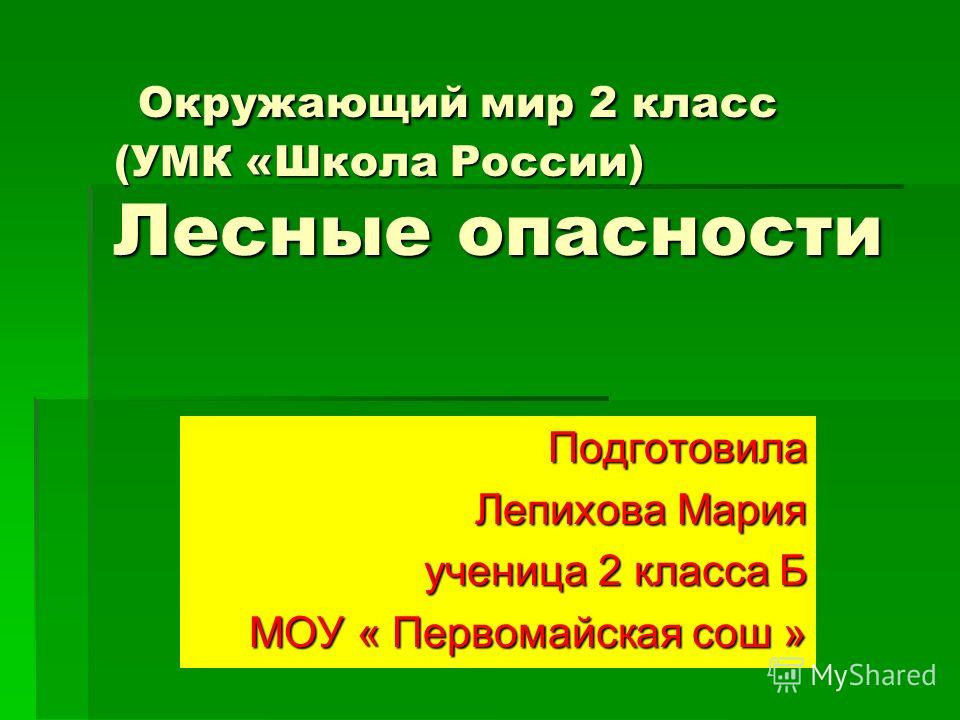 Окружающий мир проект проект лесных опасностях
