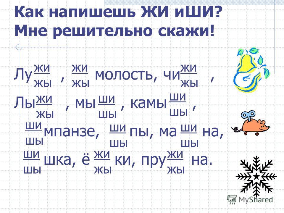 Жи ши слова примеры 2