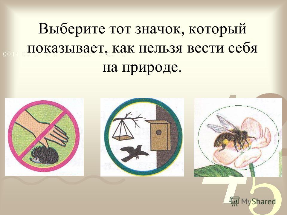 Как нельзя вести себя на природе картинки Как нельзя вести себя на природе картинки