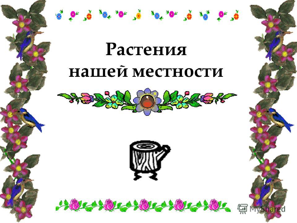 Нравится презентация Нравится презентация