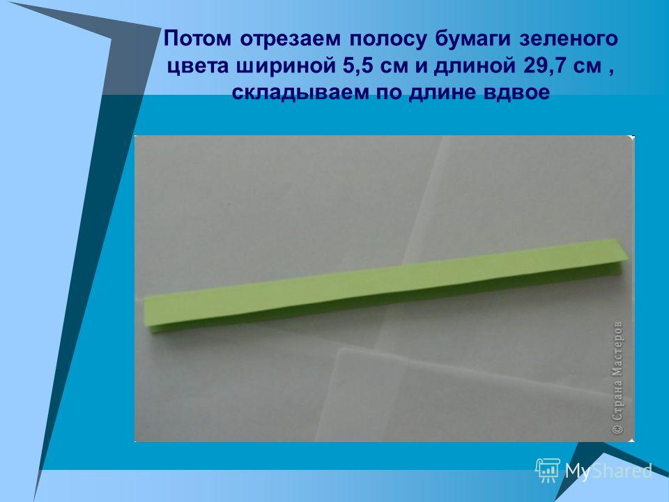 Потом отрезаем полосу бумаги зеленого цвета шириной 5,5 см и длиной 29,7 см, складываем по длине вдвое