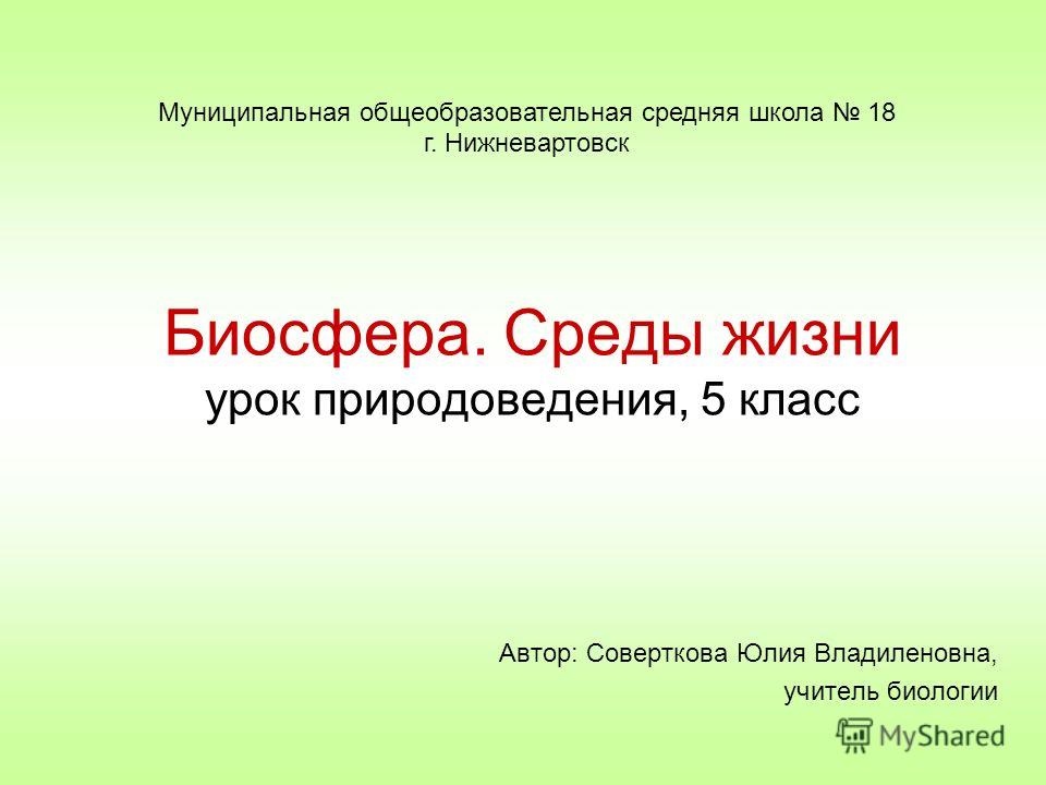 Реферат Биосфера Как Среда Обитания Человека Реферат Биосфера Как Среда Обитания Человека