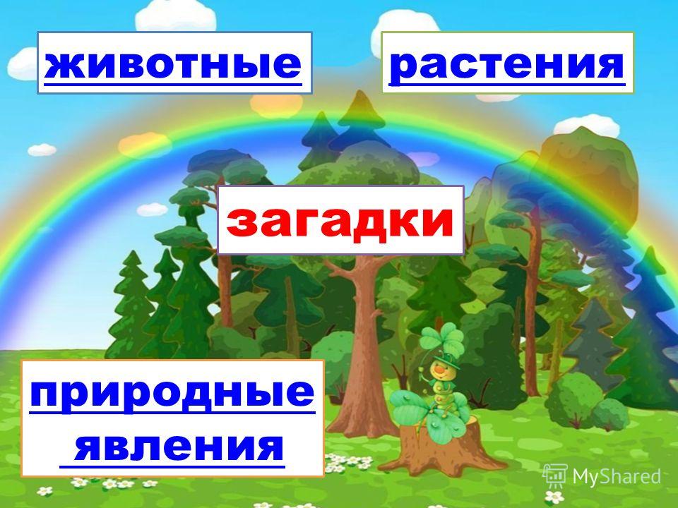 Проект за 4 класс по окружающему миру