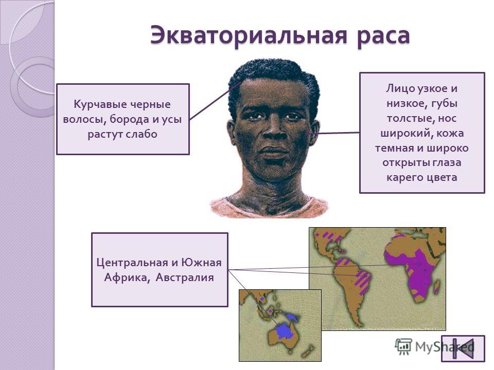 Цвет кожи у экваториальной расы Цвет кожи у экваториальной расы
