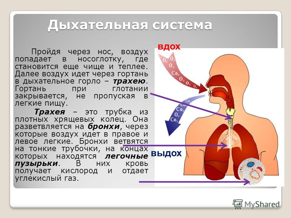 Почему Во Время Секса Попадает Воздух