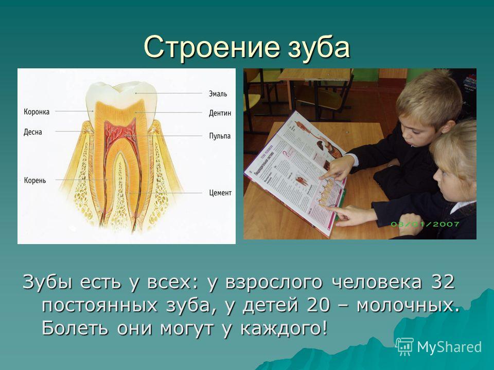 Болит яичник скоро месячные