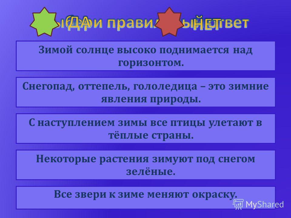 Зимние явления в живой природе картинки Зимние явления в живой природе картинки