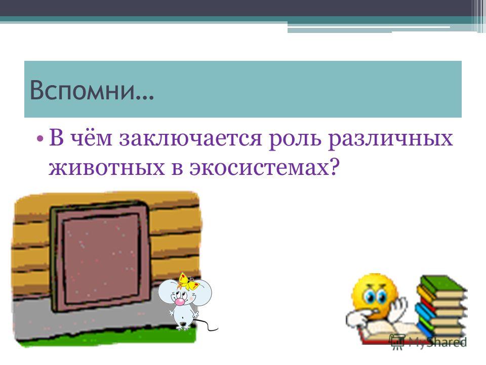 Презентацию на тему томатные овощи