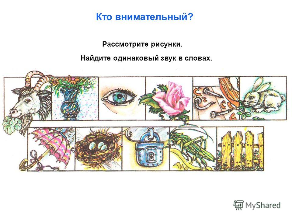 Как сделать глаз живым на рисунке Как сделать глаз живым на рисунке