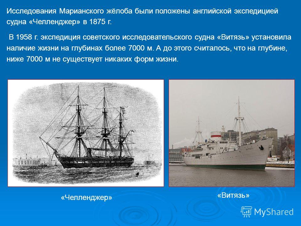 Доклад по теме Марианский желоб (Австралия) Доклад по теме Марианский желоб (Австралия)