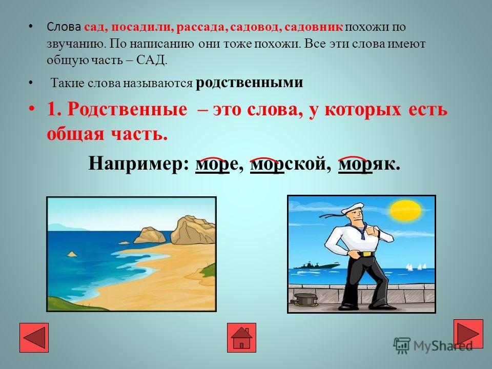 Слова связаны словом церковь Слова связаны словом церковь
