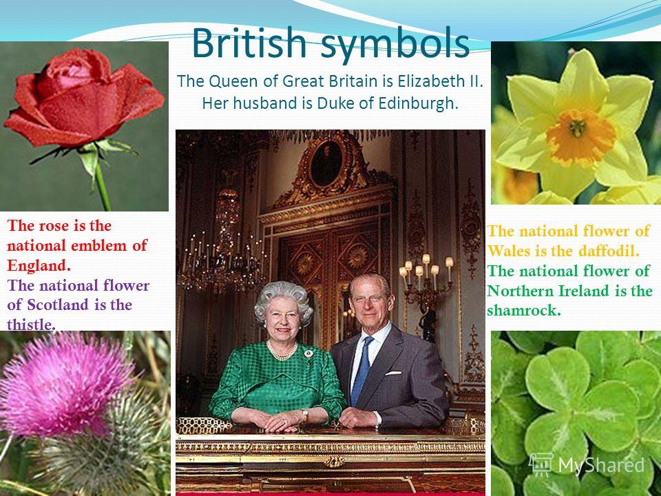 British symbols The Queen of Great Britain is Elizabeth II. Her husband is Duke of Edinburgh. The rose is the national emblem of England. The national flower of Scotland is the thistle. The national flower of Wales is the daffodil. The national flowe