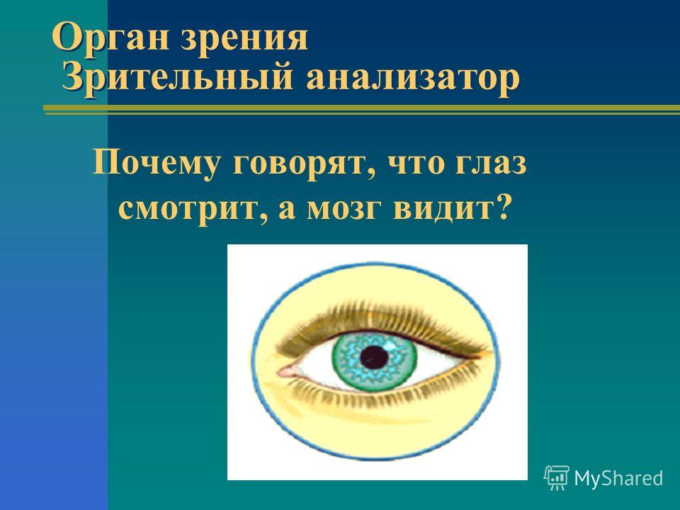 Отзывы о стоматологических клиниках в Москве Отзывы о сети Оладьи на сыворотке рецепт с фото, как приготовить на