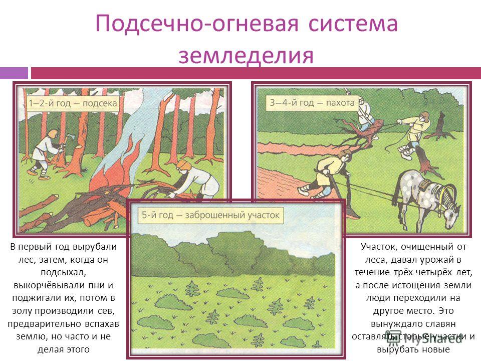 С какими занятием связаны слова подсека соха и борона С какими занятием связаны слова подсека соха и борона