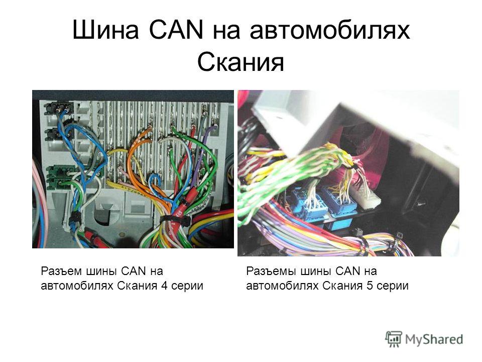 can шина scania 440