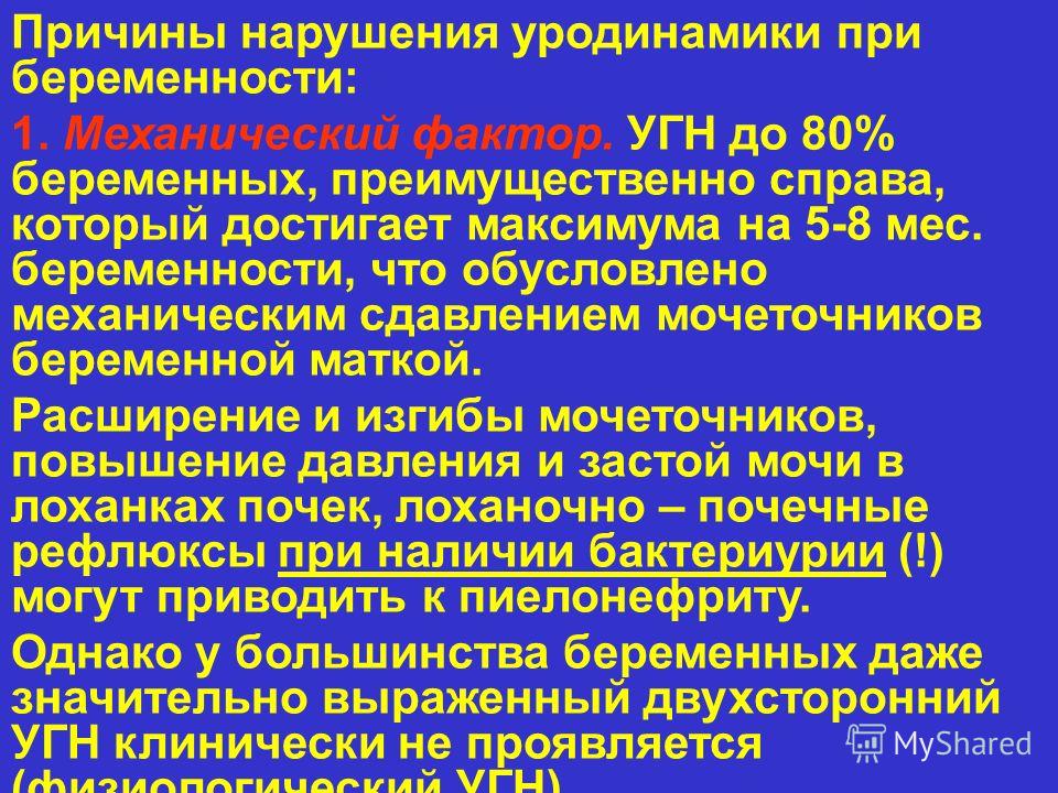 Имп и беременность Имп и беременность