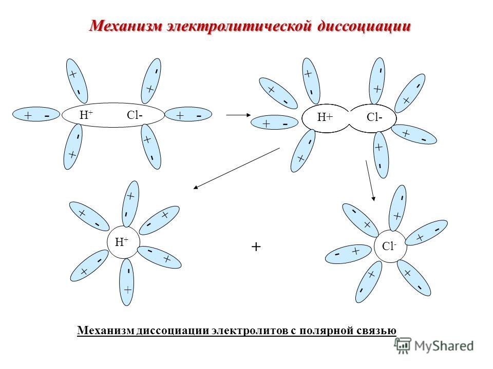 Презентация "Электролитическая диссоциация" (8 класс) по химии - скачать проект