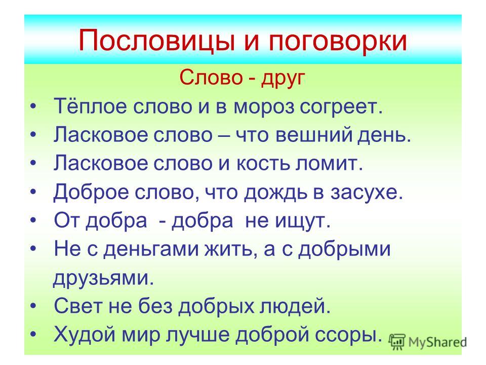 Положение о базовой организации - О нас Полив комнатных цветов. Как часто поливать растения