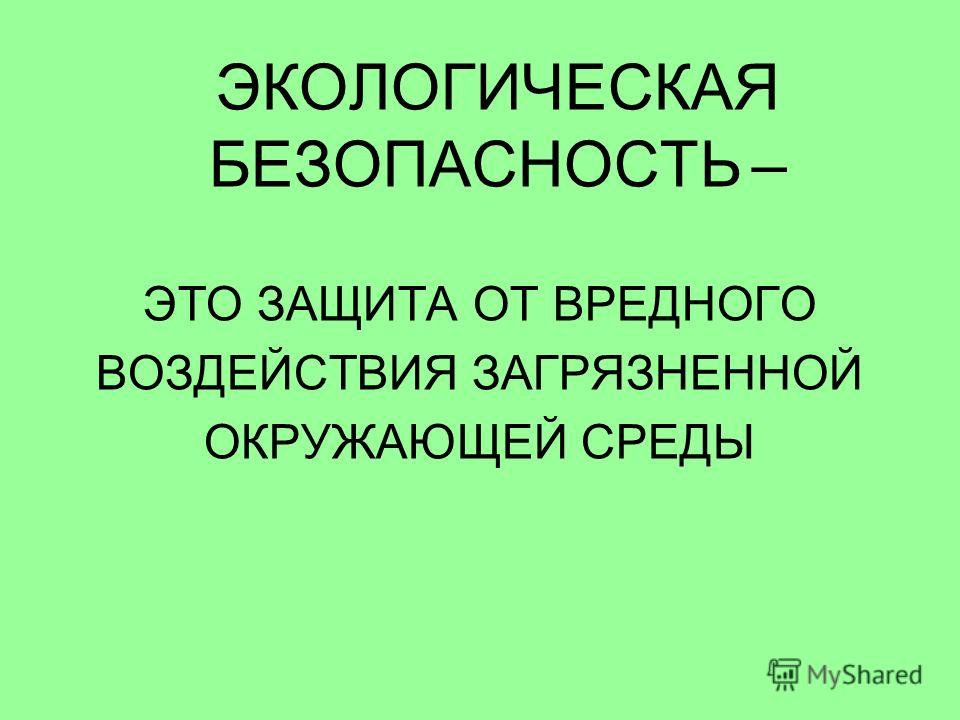 Экологическая безопасность окр мир