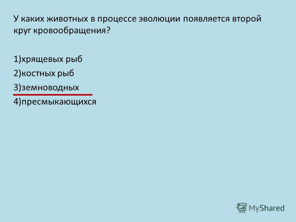 Несложное филейное вязание крючком по Литературное чтение О братьях наших меньших (2-й класс)