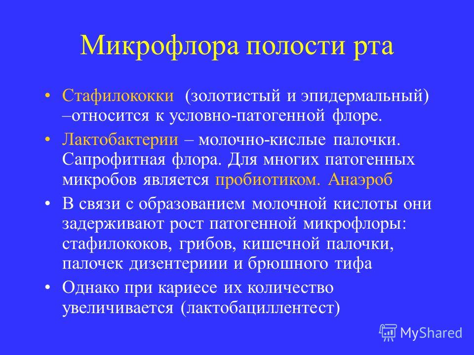 дисбактериоз полости рта запах изо рта дисбактериоз полости рта запах изо рта