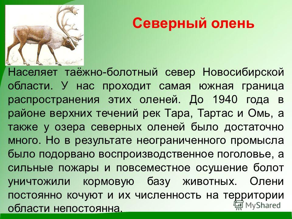 Виртуальные выставки Библиотека им. Пришвина