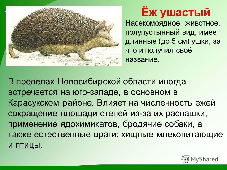 Красная