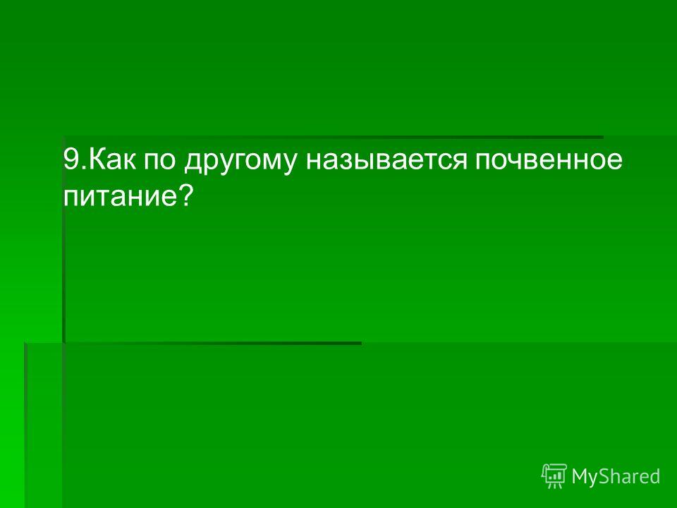 как по другому можно назвать учителя как по другому можно назвать учителя