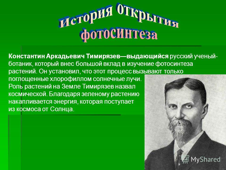 Учёные открывшие фотосинтез Учёные открывшие фотосинтез