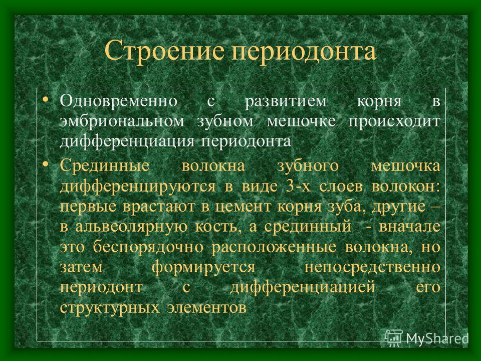 Цемент корня зуба это Цемент корня зуба это