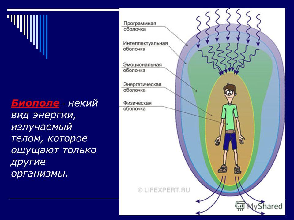 Биополе. Энергетическая система организма Биополе. Энергетическая система организма