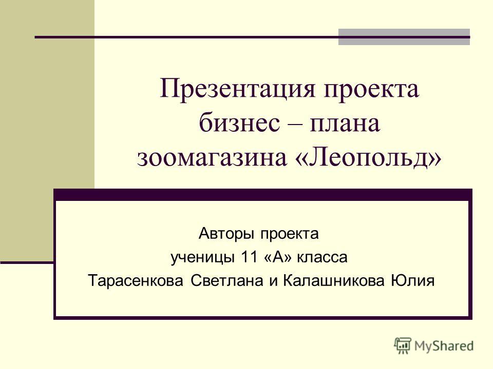 Курсовая Работа Бизнес План Зоомагазин Курсовая Работа Бизнес План Зоомагазин