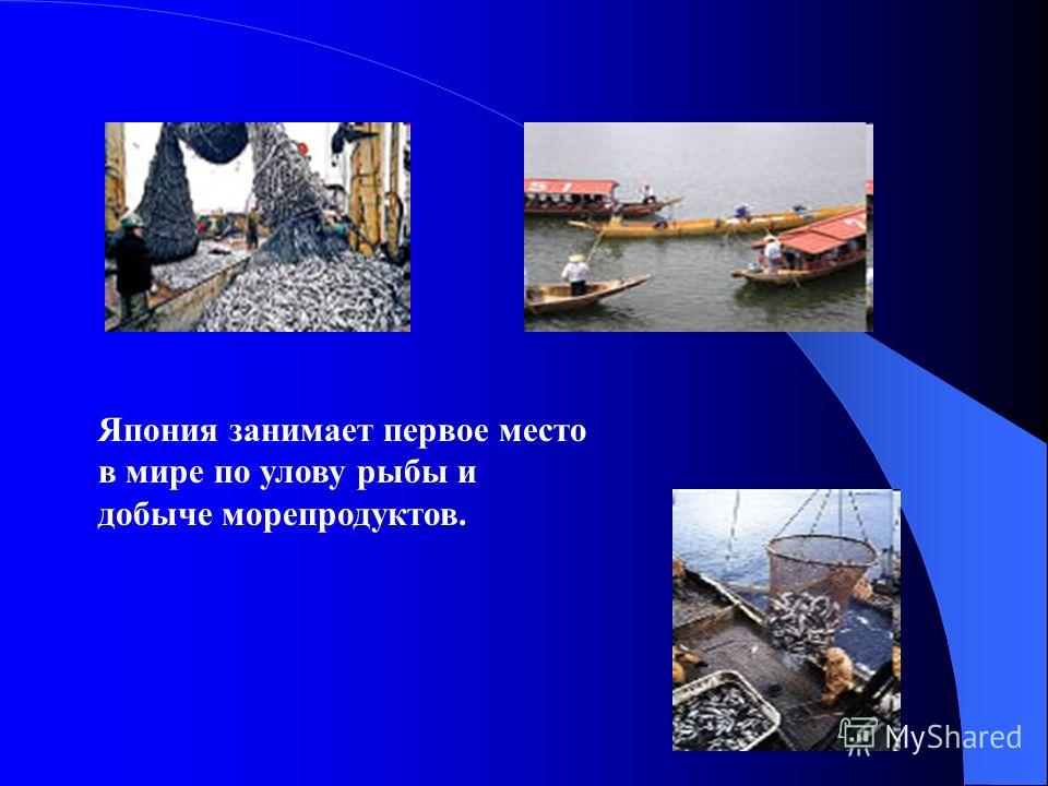 Национальная одежда японцев это Национальная одежда японцев это