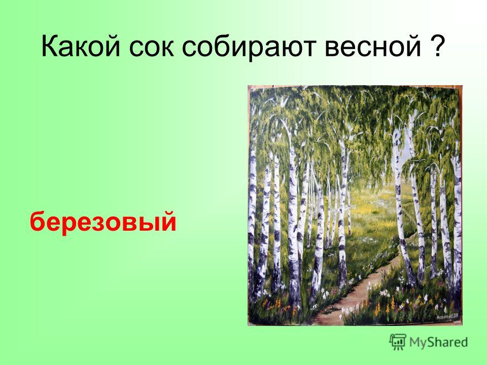 Стихотворение цветок кто автор Стихотворение цветок кто автор