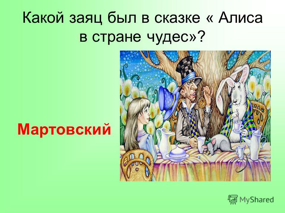 Интегрированное занятие «Первые цветы» Психогимнастика «Весенние цветы» 28 самых первых весенних цветов с фото. Обсуждение на LiveInternet