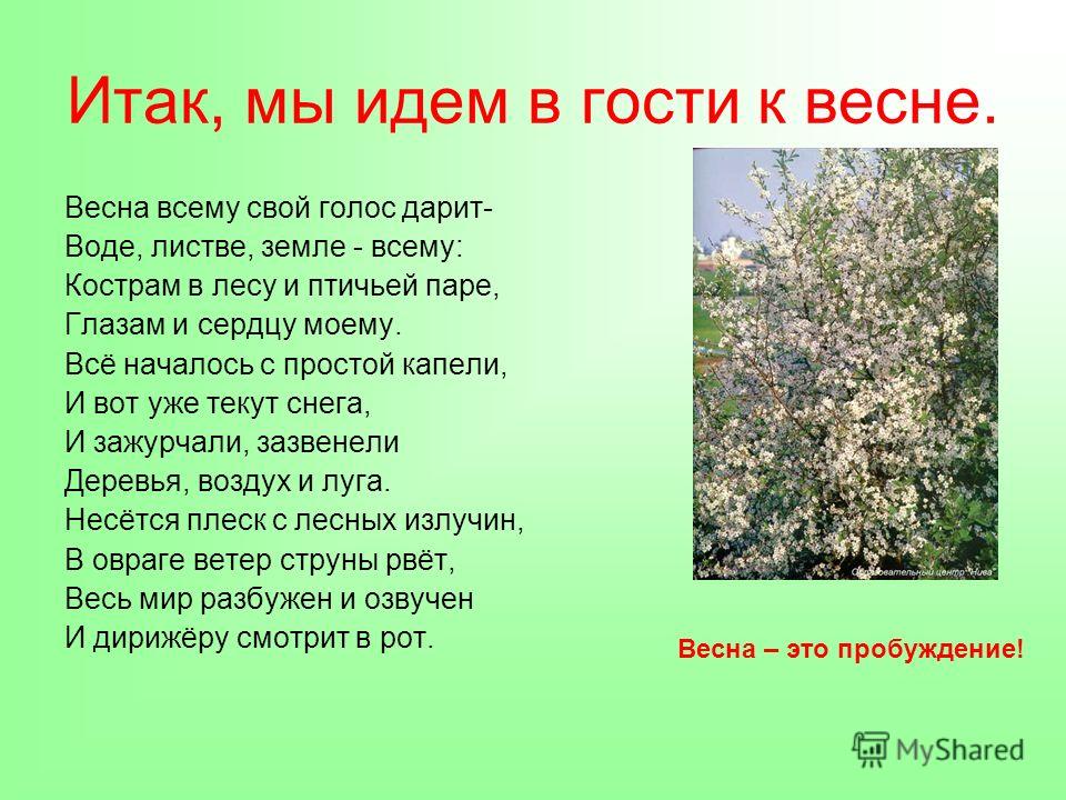 Картинки о весне с рассказом Картинки о весне с рассказом