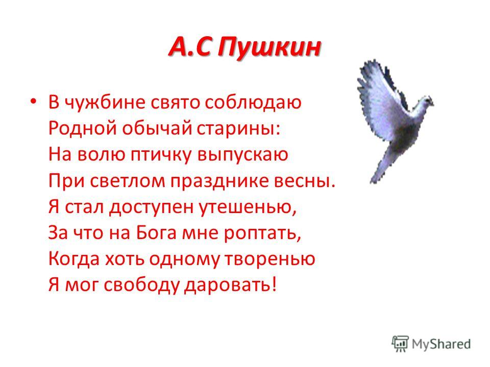 Птичка божия стих а пушкина Птичка божия стих а пушкина