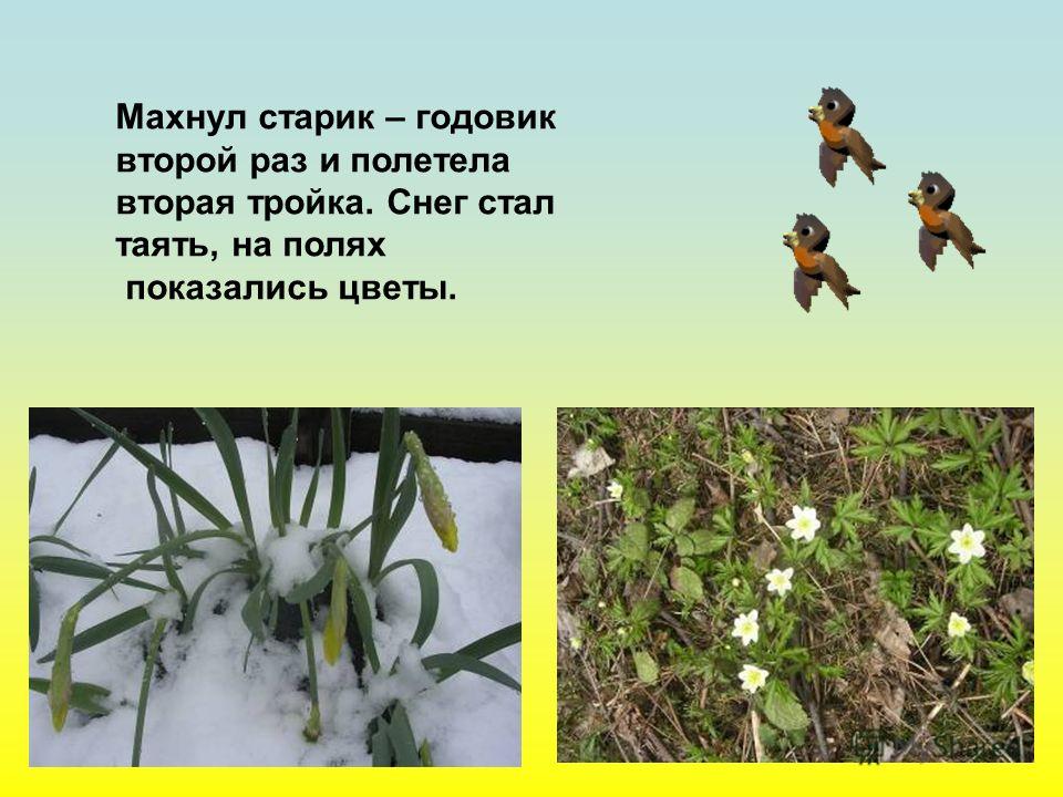 презентация старик годовик скачать