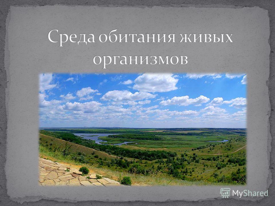 организм среда обитания паразита организм среда обитания паразита