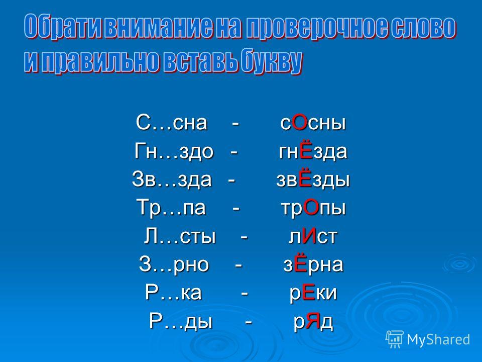 Разрядить рассаду проверочное слово 72